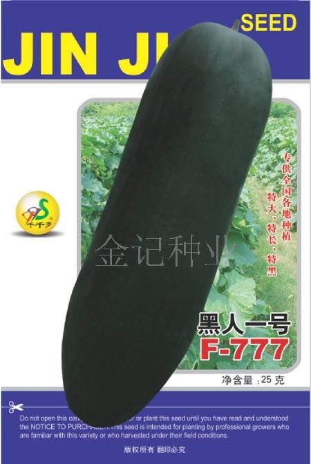 供应黑人一号黑皮冬瓜种子777